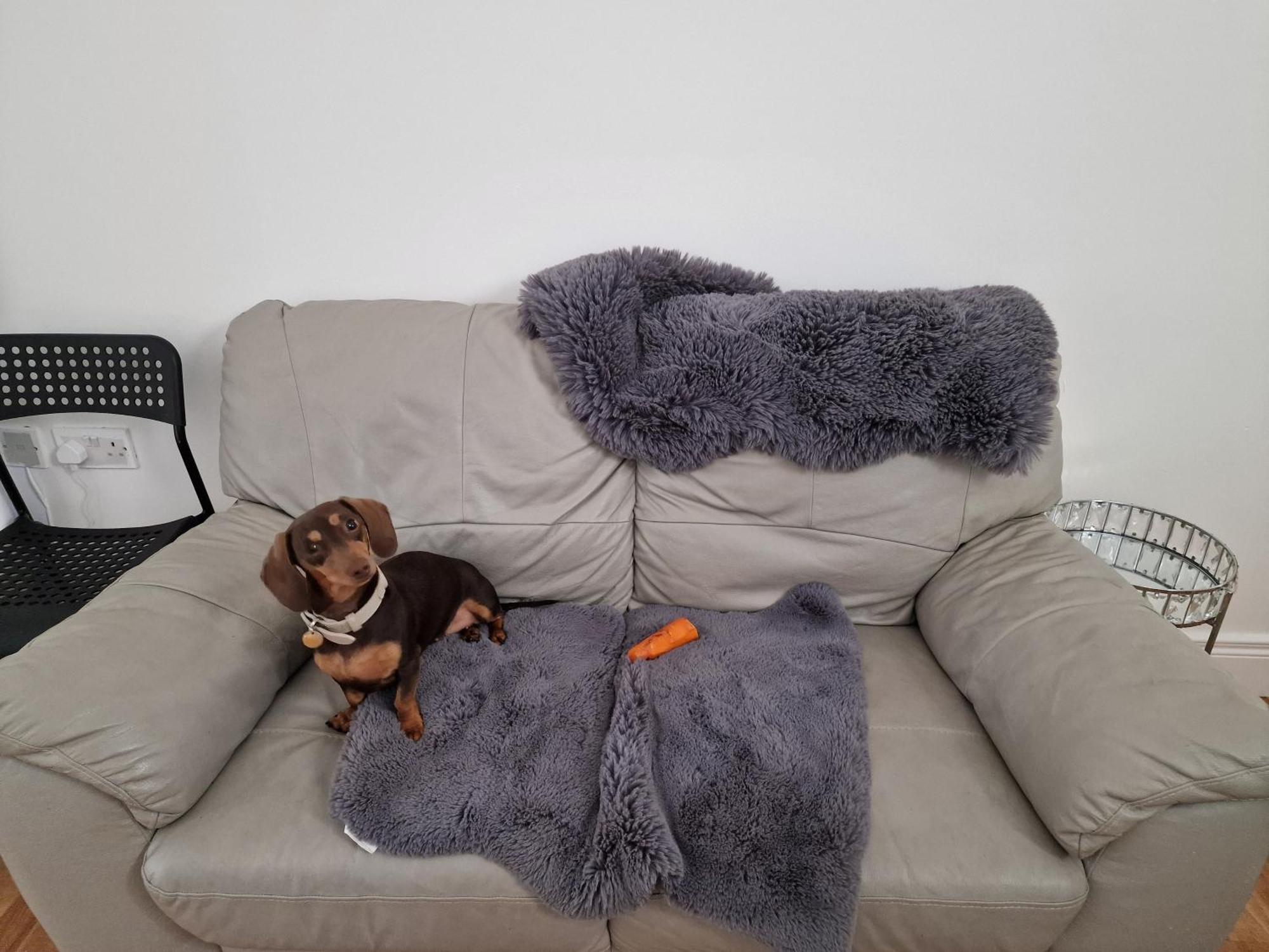 Hostel Aunty Katie'S House, Ni Tourist Board Certified & Located On The Main Oldpark Road To Belfast, With Free Continental Breakfast & Free Ultra Fast Sky Internet, Free Sky Sports & Free Sky Cinema, Self-Check In After 10Pm Gmt Exteriér fotografie