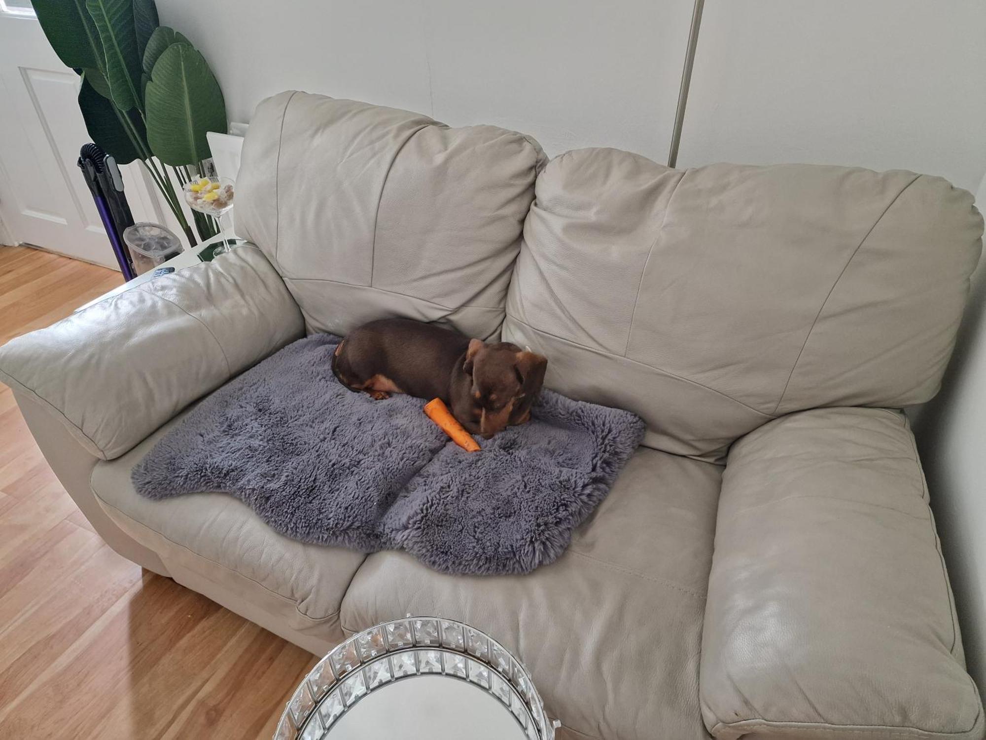 Hostel Aunty Katie'S House, Ni Tourist Board Certified & Located On The Main Oldpark Road To Belfast, With Free Continental Breakfast & Free Ultra Fast Sky Internet, Free Sky Sports & Free Sky Cinema, Self-Check In After 10Pm Gmt Exteriér fotografie